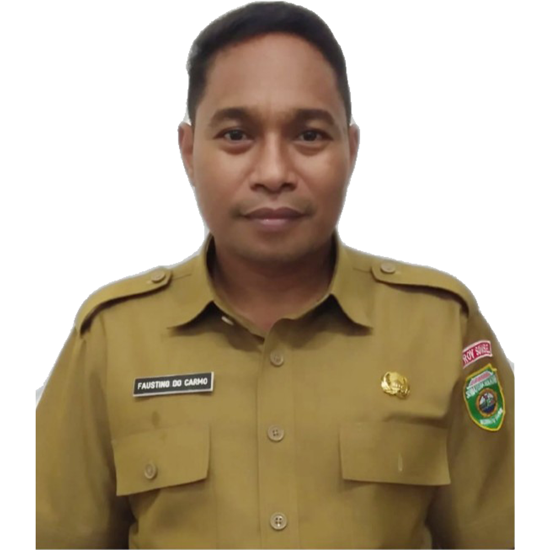 FAUSTINO DO CARMO, ST, MM